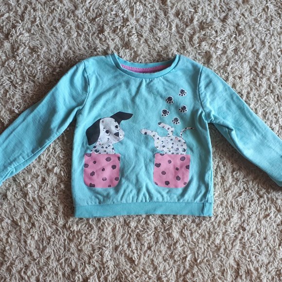 Other - Sweatshirt toddler girl